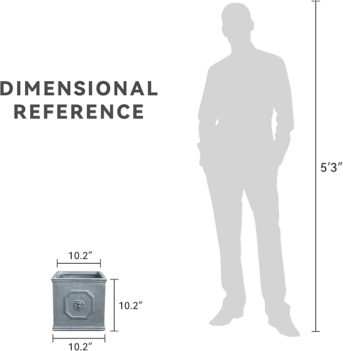 Kante Square Lion Head Concrete Planter, Classic English Style Plant Pot with Drainage Hole and Rubber Plug for Indoor Outdoor Garden Patio Home, 10.2"x10.2"x 10.2" Antique Gray