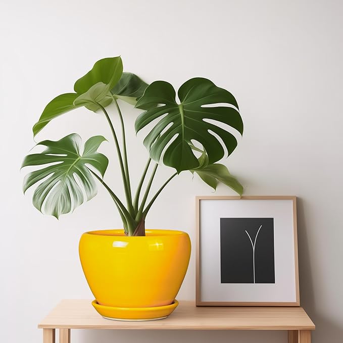 Ceramic Pot for Plants - 6 Inch Plant Pot Glaze Modern Decorative Round Planter with Drainage Hole and Saucer for Home Patio Room Office House Decor, Yellow