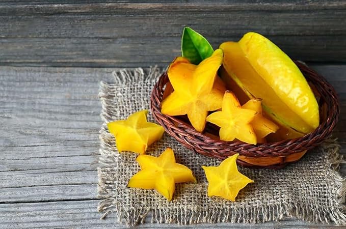 Premium Carambola Potting Soil Mix - Perfect Balance of Nutrients, Drainage, and Aeration for Thriving Starfruit Trees - 5 Quart