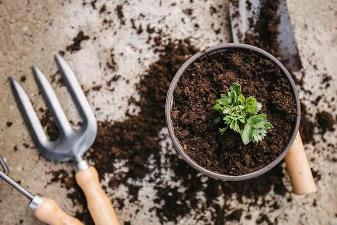 Premium Celery Potting Soil Mix - Optimal Nutrient-Rich Blend for Thriving and Crisp Celery Plants - 4 Quart