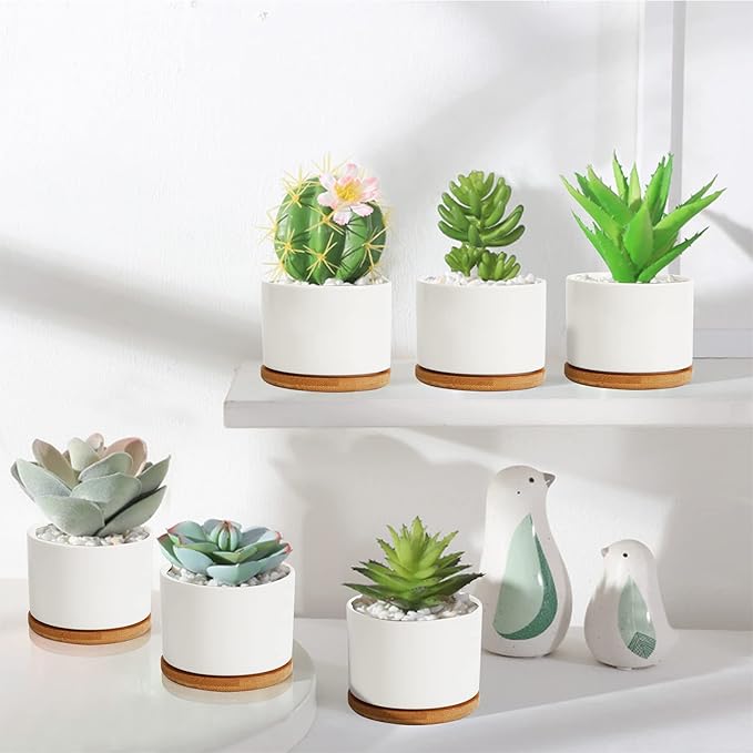 ZOUTOG Plant Pot 4 Inch, Ceramic Succulent Pots with Drainage Hole & Bamboo Tray, Pack of 6 White Small Flower Pots for Home, Office, Indoor or Outdoor Decor - Plants Not Included