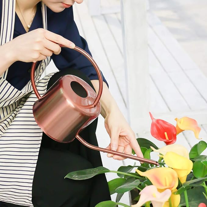Remiawy Watering Can Indoor Outdoor Stainless Steel Watering Cans for House Plants Long Spout Water Can for Succulent Bonsai Garden Flower(40oz/1300ml)
