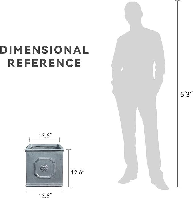 Kante Square Lion Head Concrete Planter, Classic English Style Plant Pot with Drainage Hole and Rubber Plug for Indoor Outdoor Garden Patio Home, 12.6"x12.6"x12.6" Gravel Gray