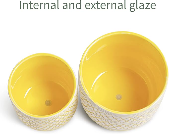 Ceramic Plant Pots, 6 + 4.7 inch Yellow Plant Pot, Flower Pots for Indoor Plants, Planter with Drainage Hole for Succulent Orchid Snake Plants Cactus