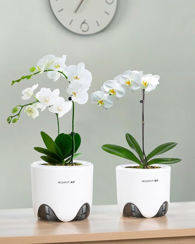 5 inch Orchid Pots with Holes for Repotting with Excellent Airflow, Set of 2, Double Layer Plastic Imitate Ceramic Orchid Planter, Clear Orchid Pot Match Decorative Orchid Container