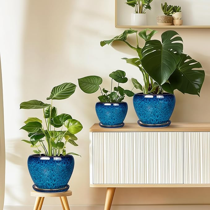 Ceramic Modern Glaze Succulent Planter Pot with Drainage Hole and Saucer 6 Inch Round Flower Plant Pot for Indoor Outdoor Herb Snake Plants