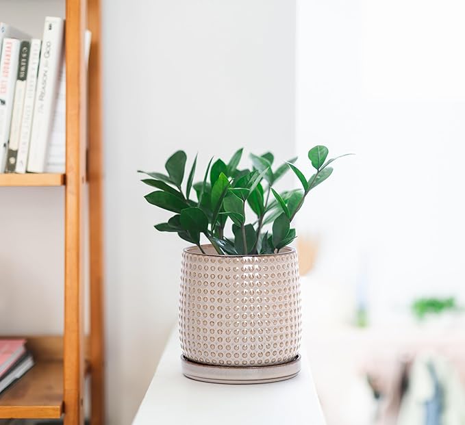 D'vine Dev 4 Inch Ceramic Beaded Stoneware Planter Pot - Flower Pot with Drainage Holes and Saucers for Indoor Succulent Plants or Flowers, Light Brown, 27-C-Z-4