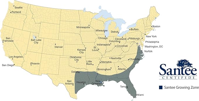 Lawnifi Santee Centipede Grass Seeds for Lawn, 2 lbs Covers 4,000 Sq Ft