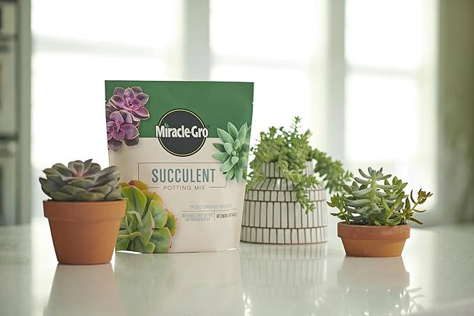 Miracle-Gro Succulent Potting Mix, for Indoor Succulents, Aloe Vera and More, Made with Miracle-Gro Plant Food, 4 qt. (3-Pack)