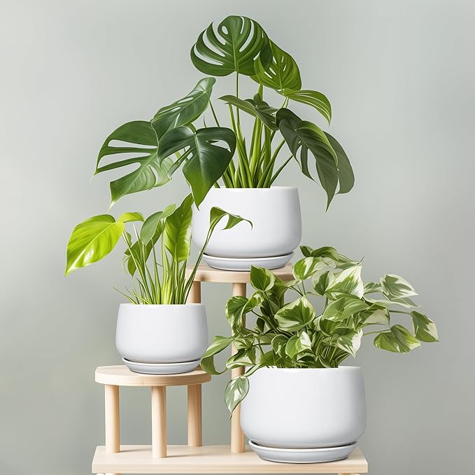 G EPGardening Ceramic Pots for Plants - 6 Inch Planter for Indoor Plants, Flower Pots with Drainage and Ceramic Tray, Modern Office Decor, Gifts for Plant Lovers, White