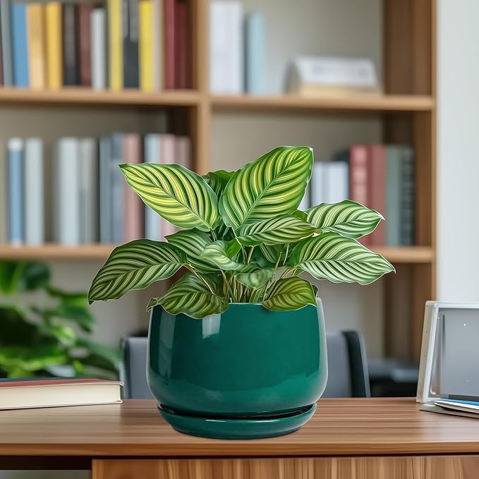 G EPGardening Ceramic Planter for Indoor Plants - 7 Inch Plant Pot, Round Planter with Drainage and Saucer, Round Flower Pots for Outdoor, Modern Desk Decor, Gift for Women Men, Green