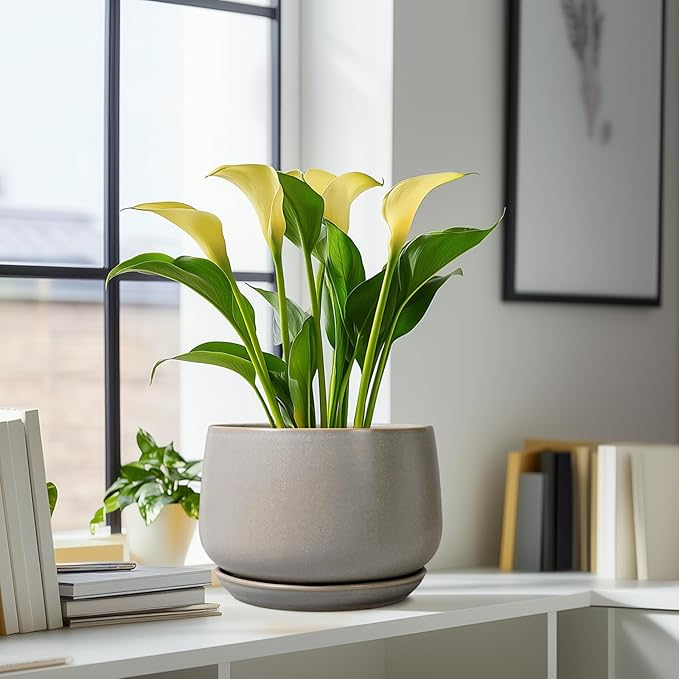 G EPGardening Ceramic Planter 9 Inch - Round Modern Plant Pots with Drainage and Plant Saucer Indoor Outdoor for Flower, Vanity Decor, House Gifts, Retro Grey