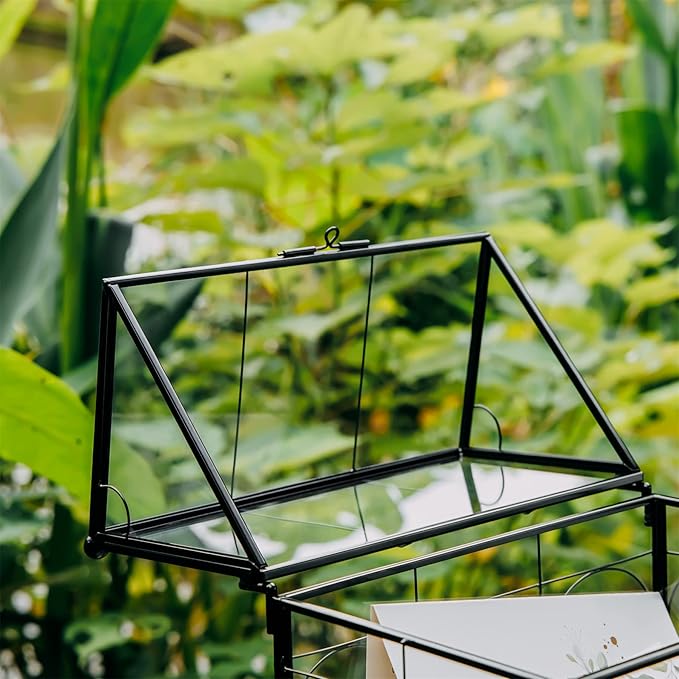 NCYP Glass Terrarium with Lid for Cacti, Succulents, Small Plants - 7.5 x 4.9 x 9 inches Closed Geometric Planter Box - Home Indoor Tabletop House Shape Decorative, Black (Terrarium Only)