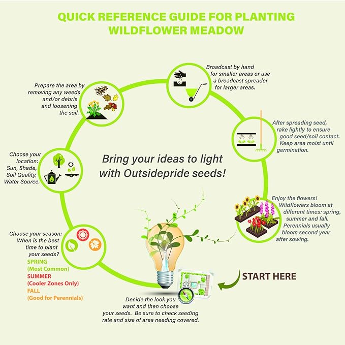 Outsidepride Lacy Phacelia Seeds for Planting - 1 Lb. Annual, Drought-Tolerant Wildflower Seeds with Light Violet Flowers, Ideal for Pollinator Gardens, Erosion Control, & Attracts Bees & Butterflies