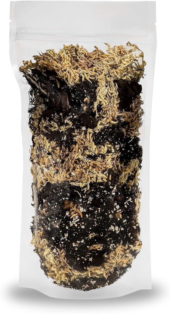 Premium Orchid Mix by GARDENERA | Fern + New Zealand Pine Bark + Sphagnum Moss + Perlite | Best for Growing and Repotting Orchids - 2 Quart Bag