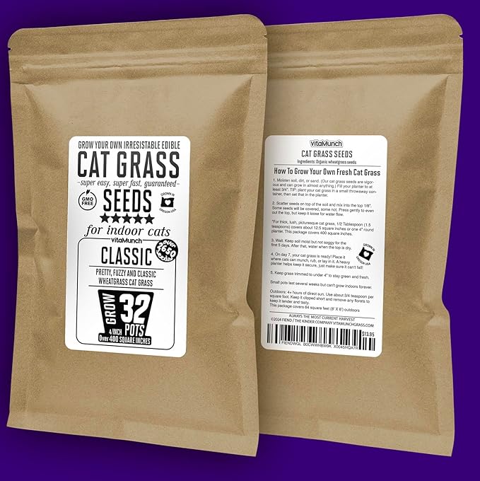 Cat Grass Seeds – Soft, Tasty Wheatgrass – Grows 32 Pots of Fresh Cat Grass for Indoor Cats & Kittens – Easy & Fast to Grow – Bulk Rescuer's Pack Grows 400 Square inches of Edible cat Grass Vitamunch