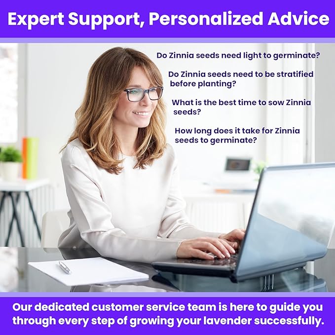 NatureZ Edge Zinnia Seeds for 2025 Planting Outdoors, Over 650 Flower Seeds, 5g, Non GMO Made in USA, Bulk Semillas De Flores para Sembrar, Variety Mix, Easy to Grow Zinnia Seed Mix