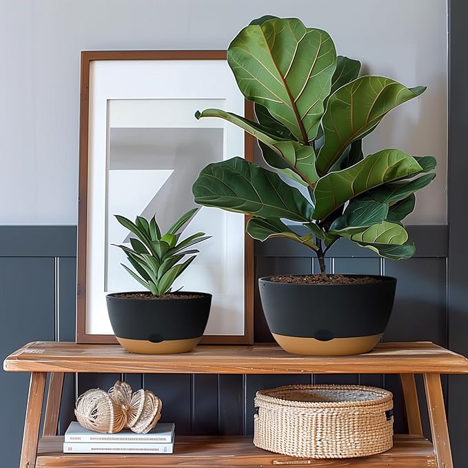 8/10/12 Inch Pots for Indoor Plants, Large Self Watering Planters with Drainage and Saucers, Plastic Outdoor Flower Pot, Set of 3, Grey