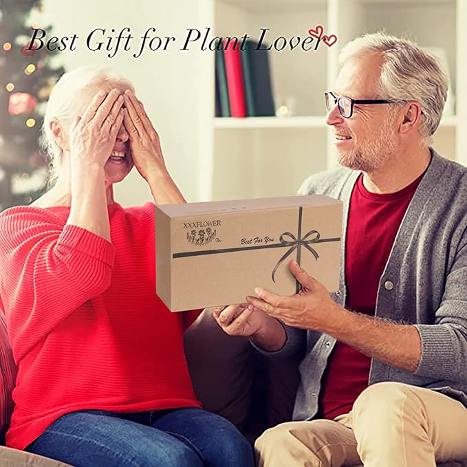 XXXFLOWER Wall Hanging Terrarium Planter with 5 Test Tubes,Wall Planters for Indoor Plants,Plant Lover Gifts for Women Garden Office Decoration