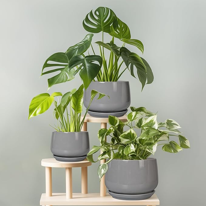 G EPGardening Ceramic Pot for Plants - Modern 6 Inch Round Planter Indoor with Drainage and Tray for Indoor Outdoor Flower, Patio Decor, Teacher Gifts, Grey