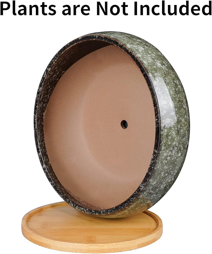 8 Inch Ceramic Bonsai Planter Pot, Glazed Shallow Succulent Planter with Drainage Hole and Bamboo Saucer for Indoor Plants, Green