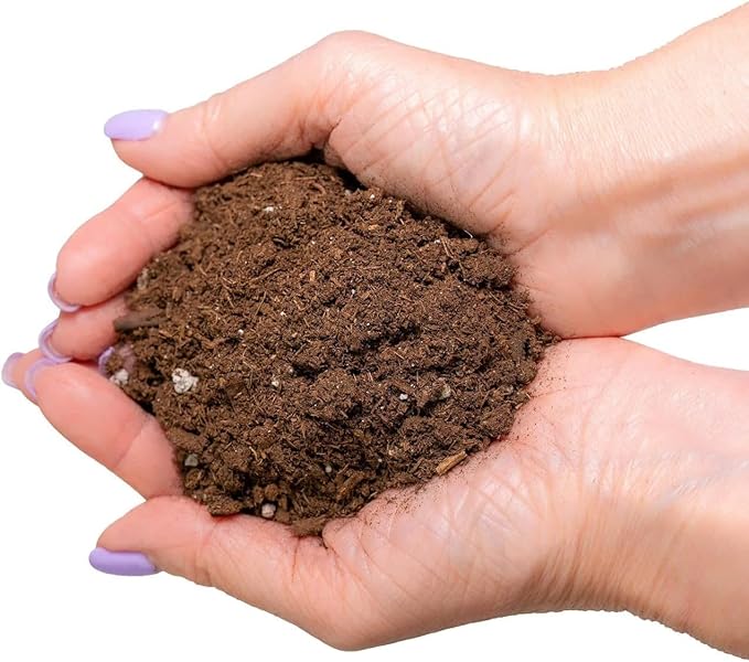 Premium Bamboo Potting Soil Mix - (3 Quart Bag)