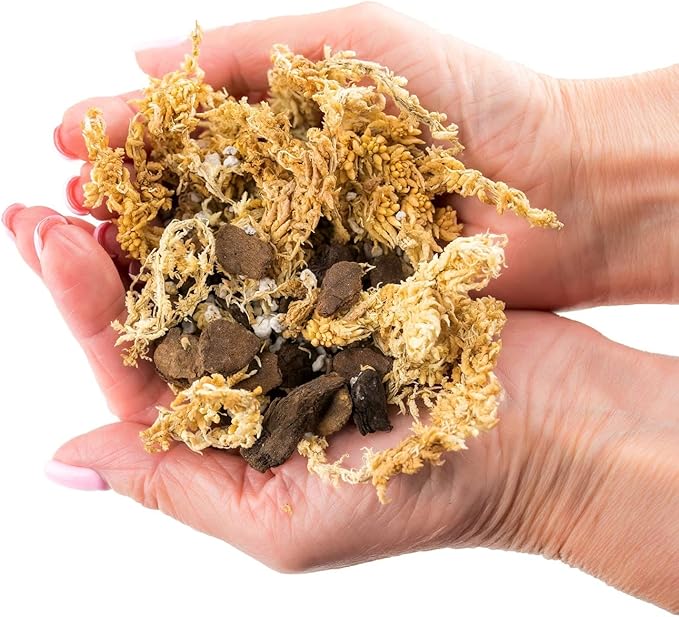 Premium Sphagnum Moss, Perlite and New Zealand Pine Bark Blend for Carnivorous Plants - 20 Quart - Perfect for Venus Fly Traps, Pitcher Plants, Sarracenia, Butterworts, and Sundews by GARDENERA