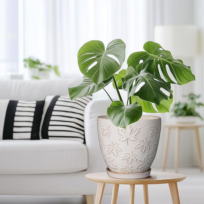 Ceramic Pots for Plants - 8 Inch Plant Pot with Drainage Hole and Saucer Large Planter Pot for Indoor Plants Outdoor Modern Flower Pot Home Decor White