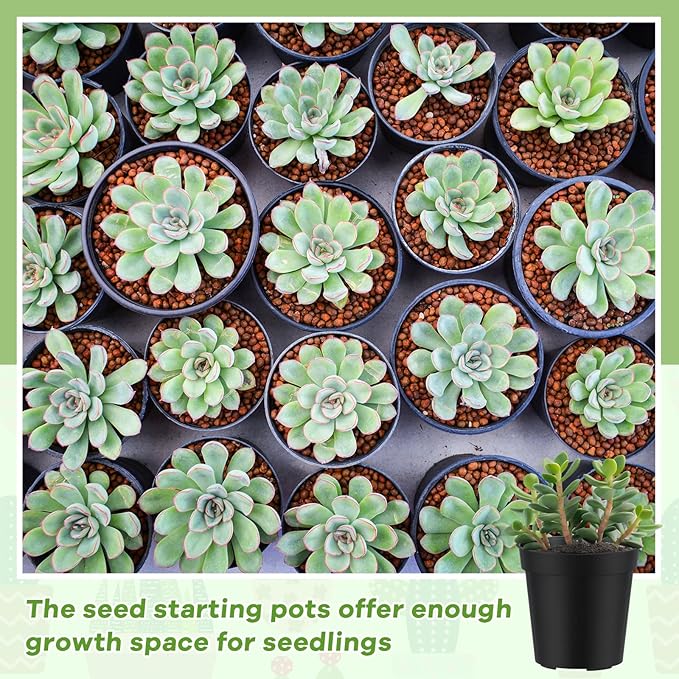 Yaomiao 200 Pcs 2 Inch Black Mini Plastic Plant Pot Nursery Seedling Pots Seed Starter with Drainage Holes for Indoor Outdoor Garden Succulent Plants Cuttings Transplanting