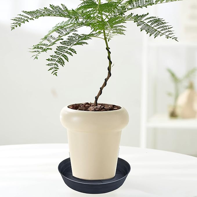 Plant Saucer 18 Inch, Extra Large Planter Saucer 2 Pack, Plastic Plant Saucers for Indoors and Outdoors, Plant Pot Saucers, Drainage Tray for 16, 17, 18 in Planters