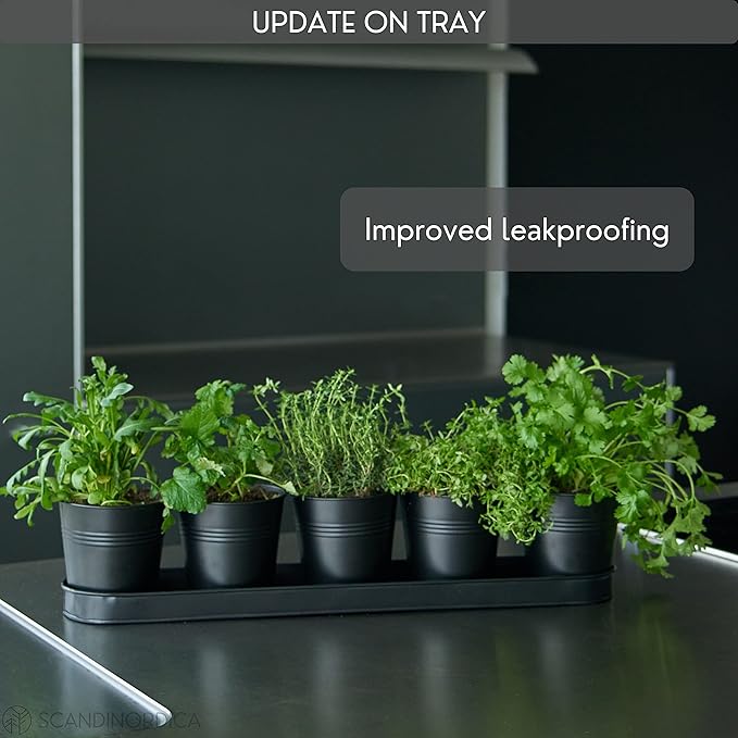 SCANDINORDICA Black Herb Planter – 5 Pots with Drainage Holes and Tray, Windowsill Planter, Herb Pots for Indoor Outdoor Plants | Kitchen & Garden Decor
