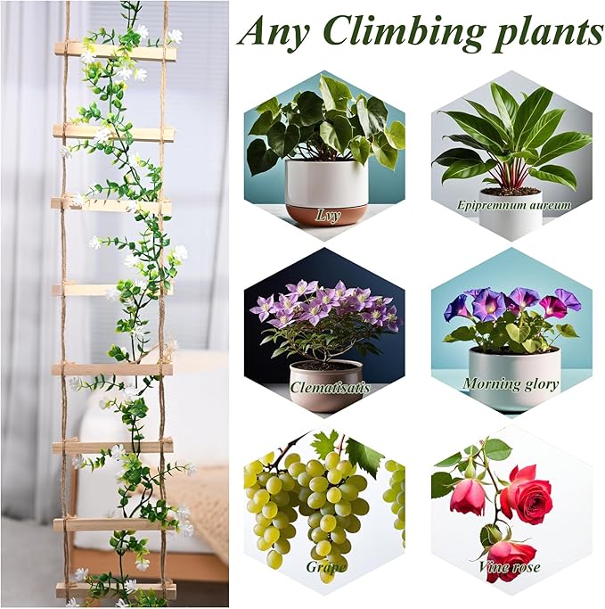 Sturdy Climbing Plants Trellis - Natural Wood Ladder Design for Indoor & Outdoor Use, Easy Installation, Reliable Support for Vines & Climbers, Modern Home Decor, Durable Plant Support System