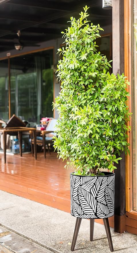 D'vine Dev 12 Inch Planter Pot with Stand, Mid-Century Tall Plant Pot with Legs for Indoor Plants, Large, White/Grey, 88-L-C-7