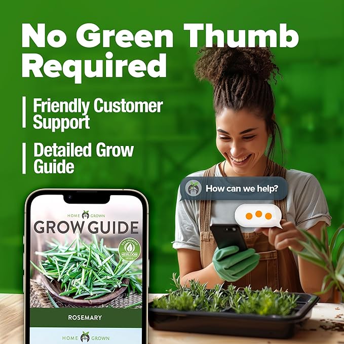 HOME GROWN π¨π¦π π£π₯ππ ππ¨π Rosemary Seeds Pack - 150 High Germinating π‘π’π‘-ππ π’ Heirloom Herb Seeds for Planting in Indoor or Outdoor Herb Gardens (Salvia rosmarinus)