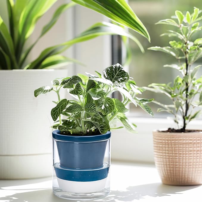 D'vine Dev 4 Inch Design Self Watering Planter for Indoor Plants, Blue Terracotta Pot with Cylinder Glass Cup, Set of 4, 37-Z-A-4-F