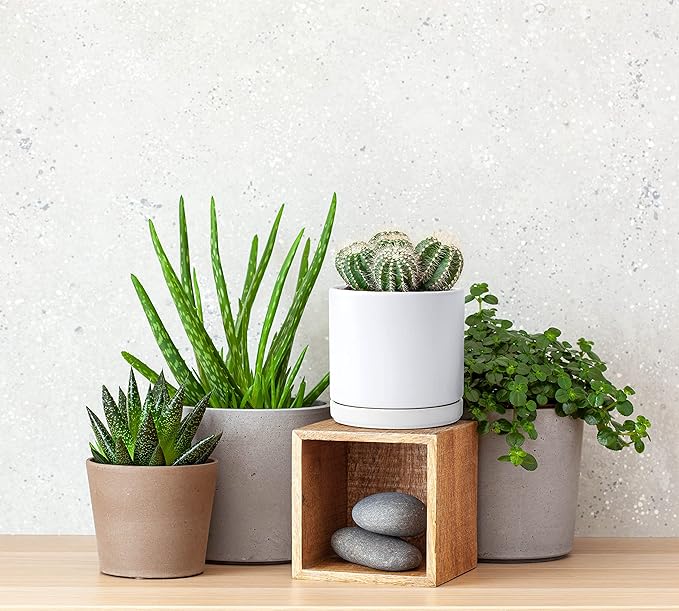 D'vine Dev Set of 4 Small Ceramic Plant Pots, 4.6 Inch Succulent Planter Pot for Plants with Drainage Hole and Saucer, White, 94-X-B-1