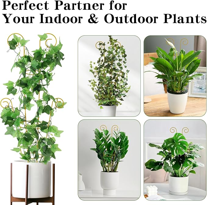 ZOUTOG Trellis for Climbing Plants Indoor 30 Inch, Houseplant Trellis for Potted Plants Metal 4Pcs for Vine Ivy Flower Support,Round Shape,Golden