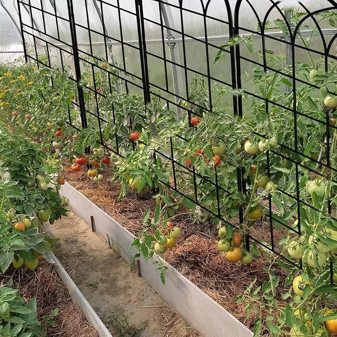 LZRS 4 Pack 71x20in Rustic Iron Arch Decoration Garden Trellis with Black Metal Coating โ Perfect for Supporting Climbing Plants Outdoor, Roses, Vines, Flowers, and Vegetables.