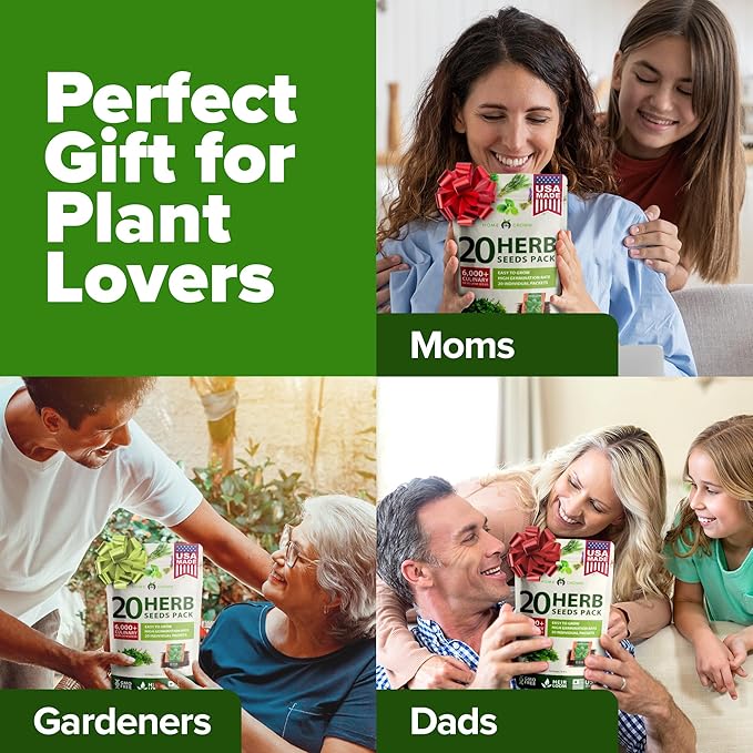 HOME GROWN 20 Herb Seeds for Planting 6,000+ Non-GMO Heirloom Seeds | Extra Large Variety Pack Herb Kit – Indoor Outdoor & Hydroponic | Culinary Seed Set | Grow Your Own Herbs | Gardening Gift
