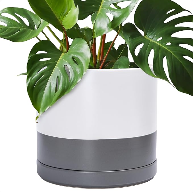 D'vine Dev 14 Inch Ceramic Planter Pot with Drainage Hole and Saucer, Indoor Cylinder Round Planter Pot, White/Speckled Grey, 94-O-G-6