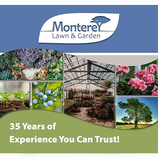 Monterey Fish & Guano Liquid Plant Fertilizer for Transplants and Flowers - 31 oz