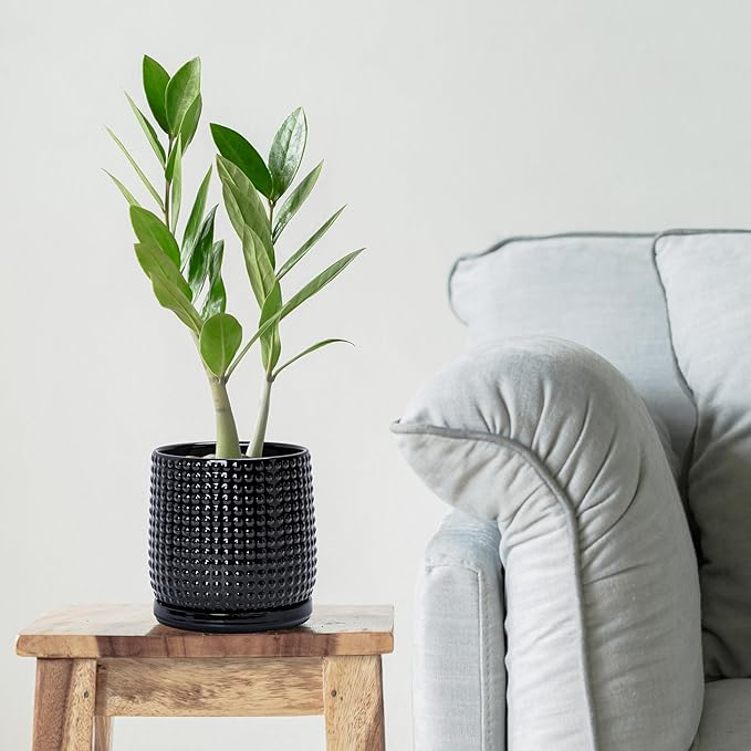 D'vine Dev 6 Inch Ceramic Beaded Stoneware Planter Pot - Flower Pot with Drainage Holes and Saucers for Indoor Succulent Plants or Flowers, Glossy Black, 27-C-X-2