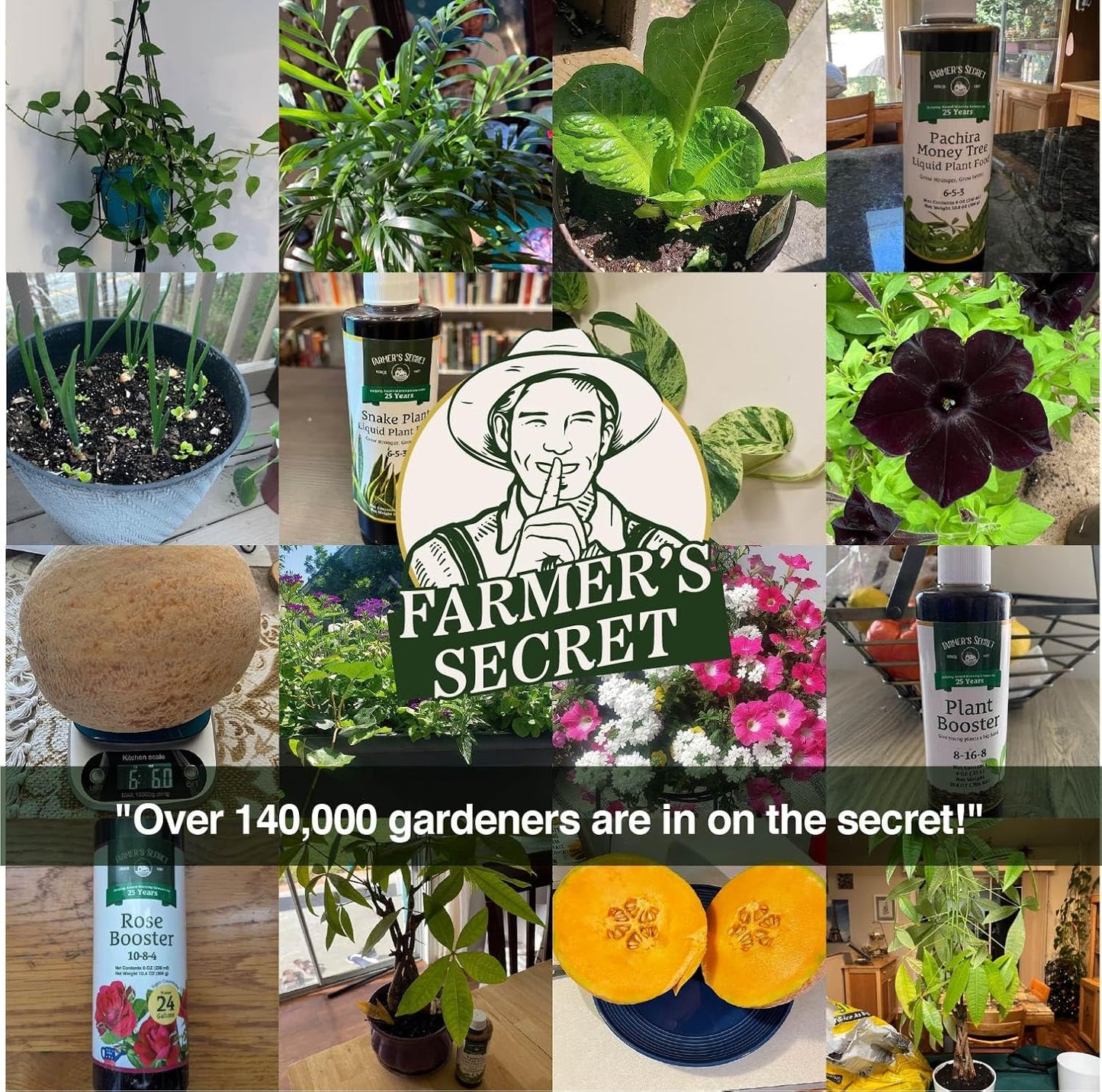 Farmer’s Secret Soil Revitalizer (8oz) - Organic (OMRI Listed) Dirt Health Booster - Liquid Compost Soil Amendment - Activated Humic Acid - Great for Fall Application