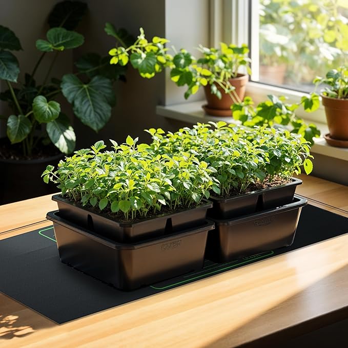 iPower Durable Seedling Heat Mat Warm 48" x 20" - 2 Pack Hydroponic Heating Pad Waterproof for Seed Starting Greenhouse and Germination