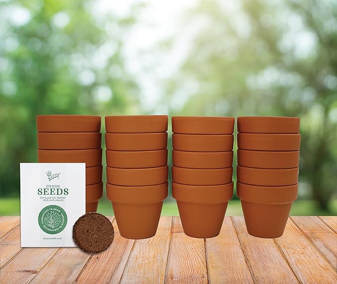 Buzzy Seeds Terracotta Mini Grow Pots | Herb, Plant, Flower Starter Kit for Kids & Adults | Assorted 20-Pack, | Lavender Seeds Guaranteed to Grow | Best Indoor Grow Your Own Plant Gardening Gift