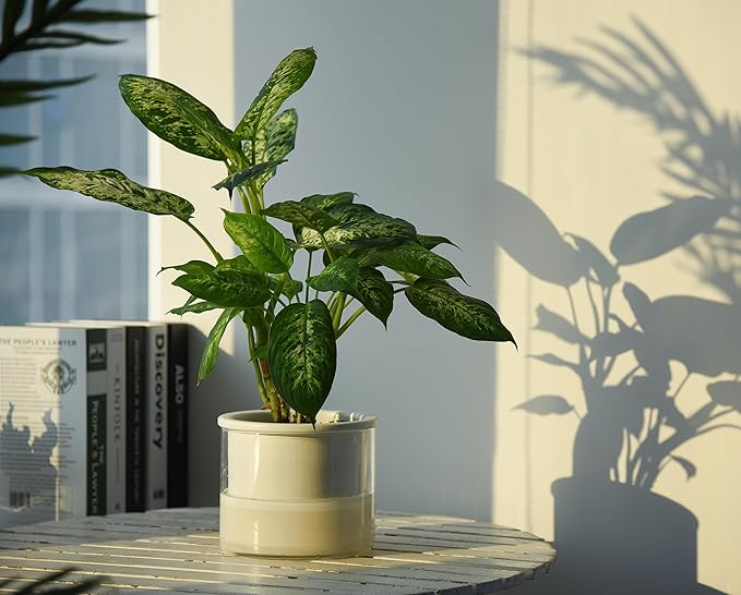 Phoenix Vine 6 Inch Self Watering Planter Pot, Design White Terracotta Pot for Plants, Indoor Cylinder Terra Cotta Pot with Glass Vase, Set of 1, 51-B-F-1