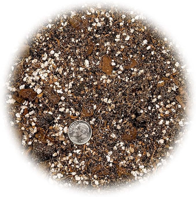 Premium Spider Plant Potting Soil Mix - (3 Quart Bag)