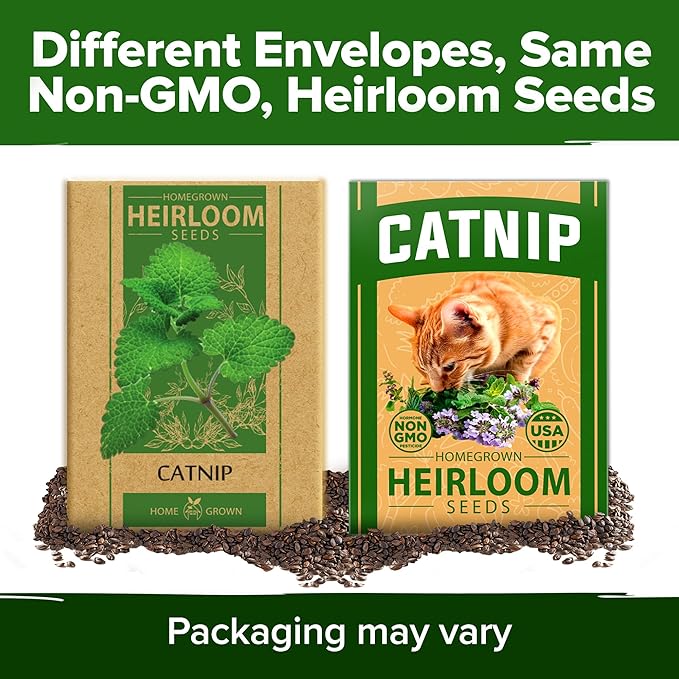 HOME GROWN π¨π¦π π£π₯ππ ππ¨π Catnip Seeds (Bulk Pack) π‘π’π‘-ππ π’ Heirloom Herb 2,116 Seeds - Indoor or Outdoor Seed - High-Germination Cat Nip - Cat Safe Plants (Nepeta cataria)