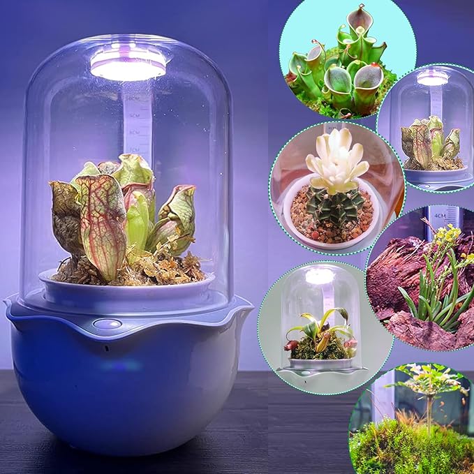 Smart Venus Fly Trap Terrarium Pot with Timer&Fan,Succulent Planter with Grow Light,Indoor Plant Pots Terrarium with Drainage Hole for Carnivorous Plants,Sundew Moss,Cactus(No Plant)