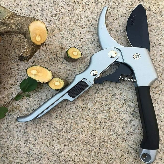 Garden clippers, premium Germany pruners, Work 3 times easier, professional pruning shears, cutting rose, flower, hedge, stem, tree, Sharp gardening scissors, Arthritis weak hand snips (Japanese-1, 1)